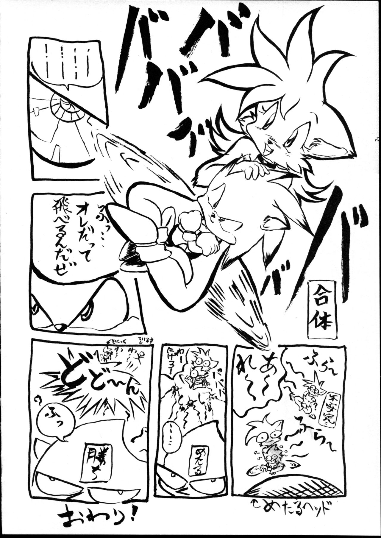 Echinococcus 6 page 5 full