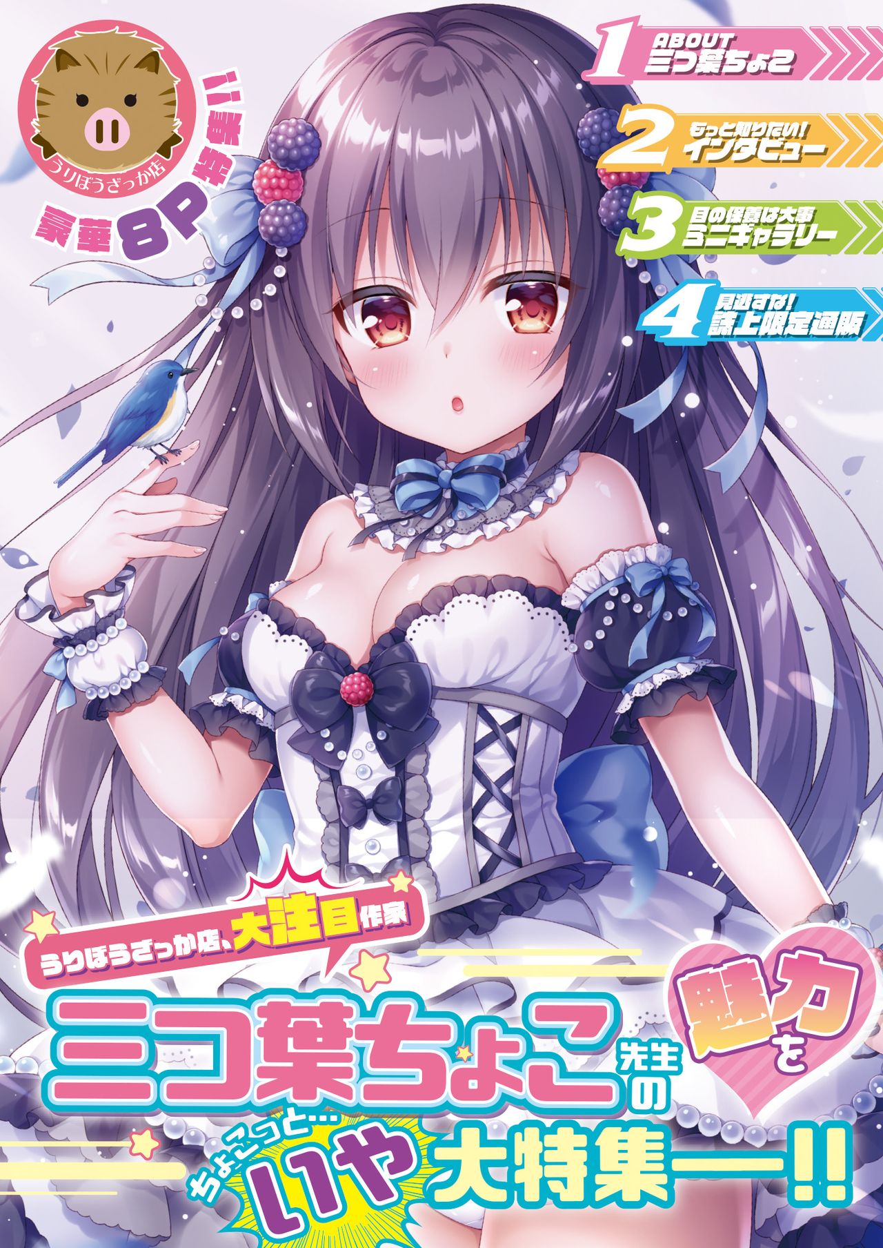 月刊うりぼうざっか店 2018年5月25日発行号 page 3 full