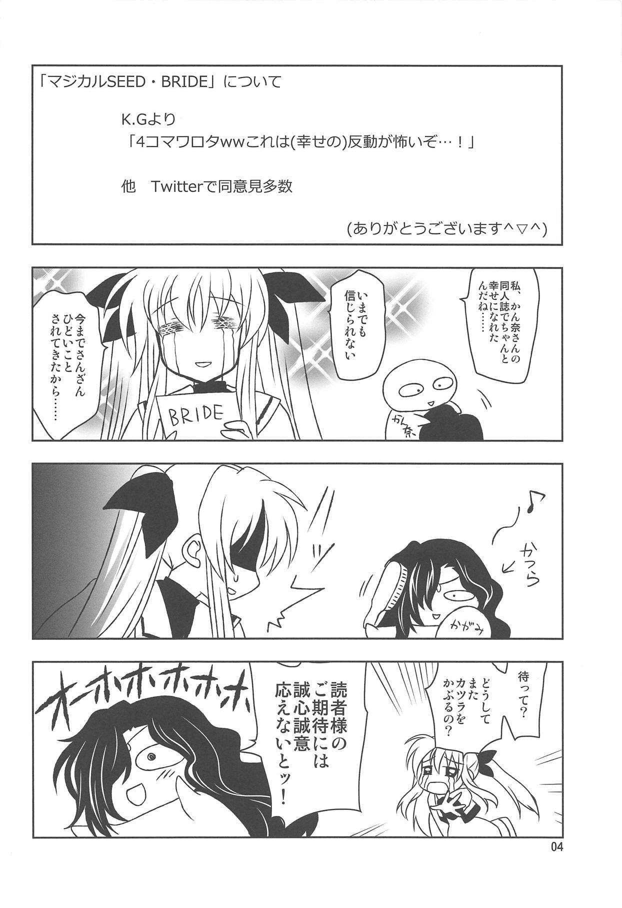 Magical SEED MAID page 3 full