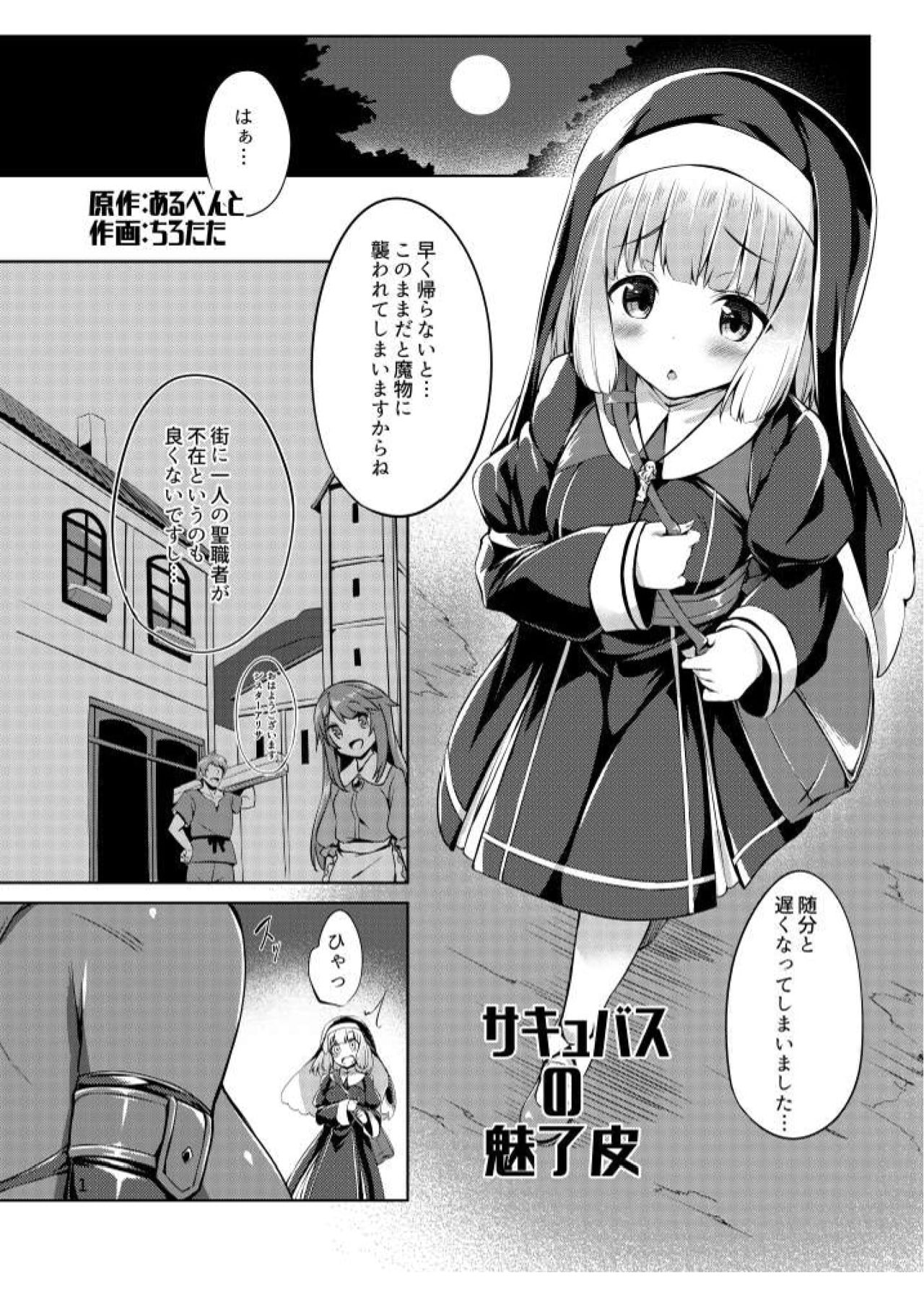 サキュバスの魅惑皮 page 2 full