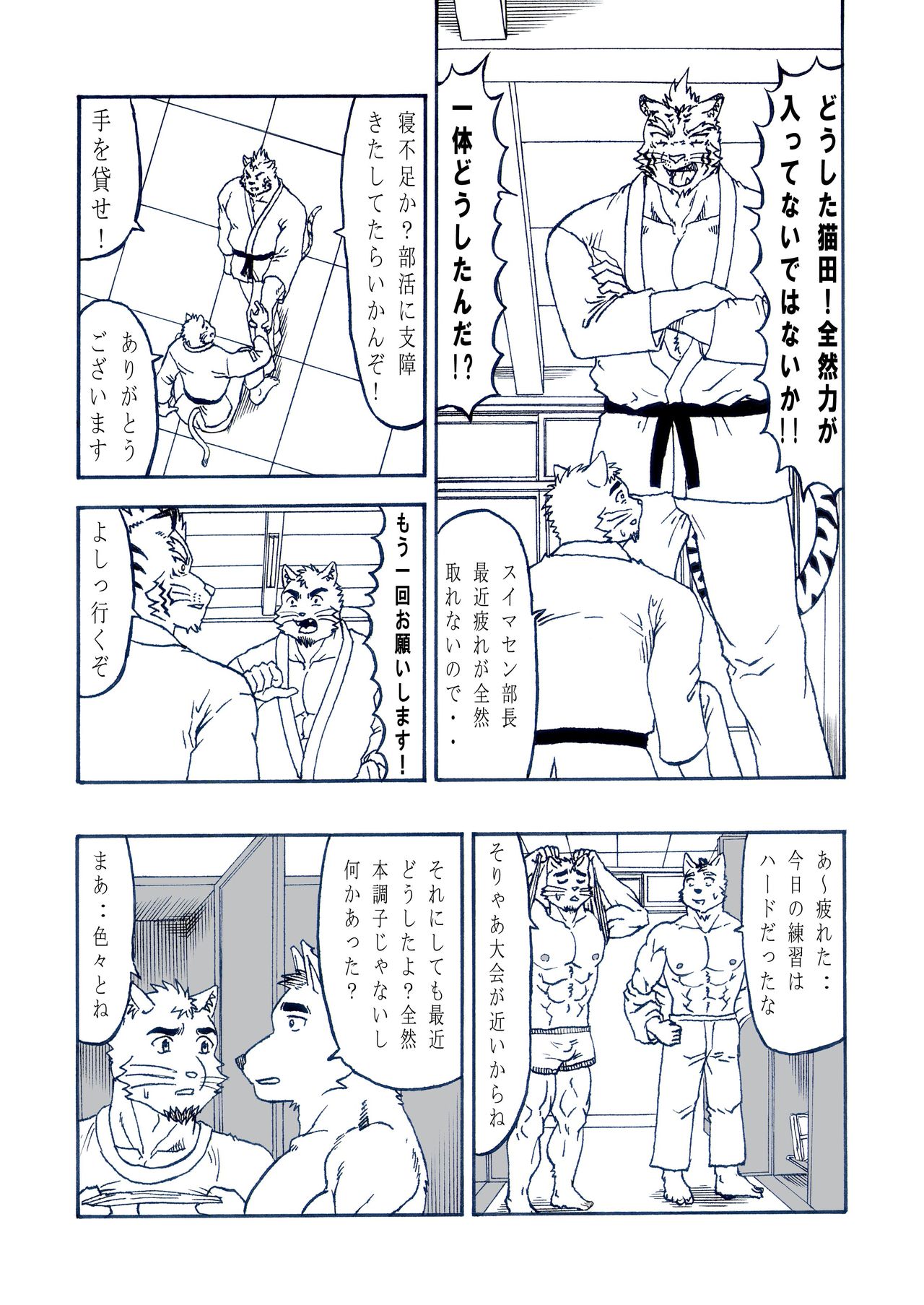 Hatsujou Nyanko Nekota page 3 full