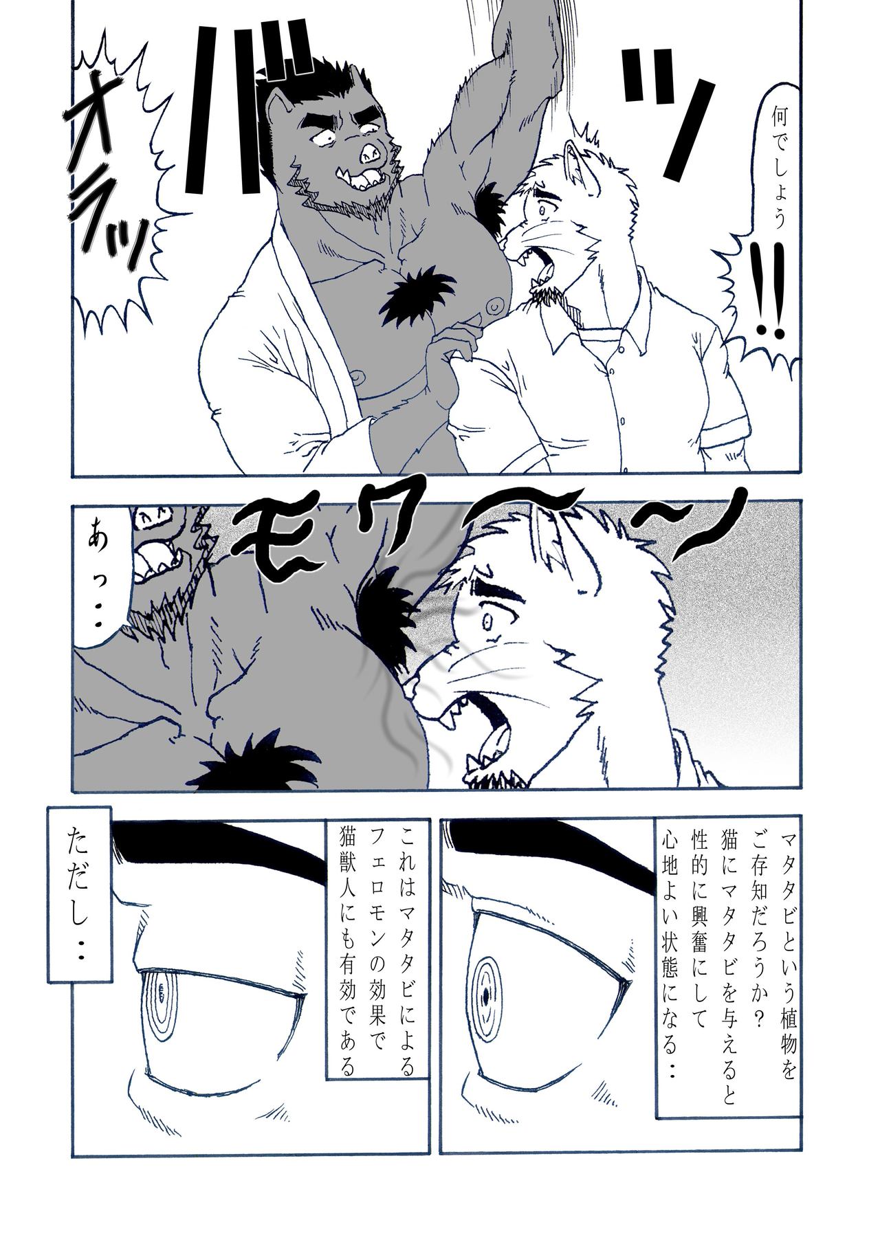 Hatsujou Nyanko Nekota page 6 full