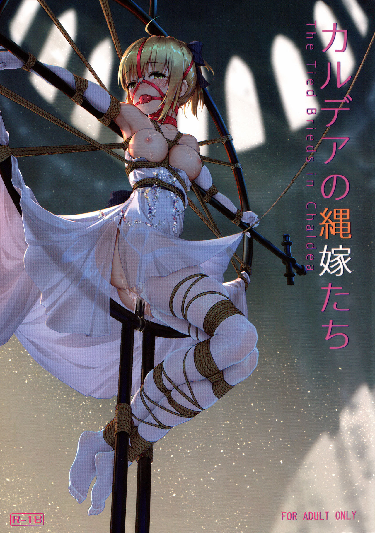 Chaldea no Nawa Yome-Tachi page 1 full