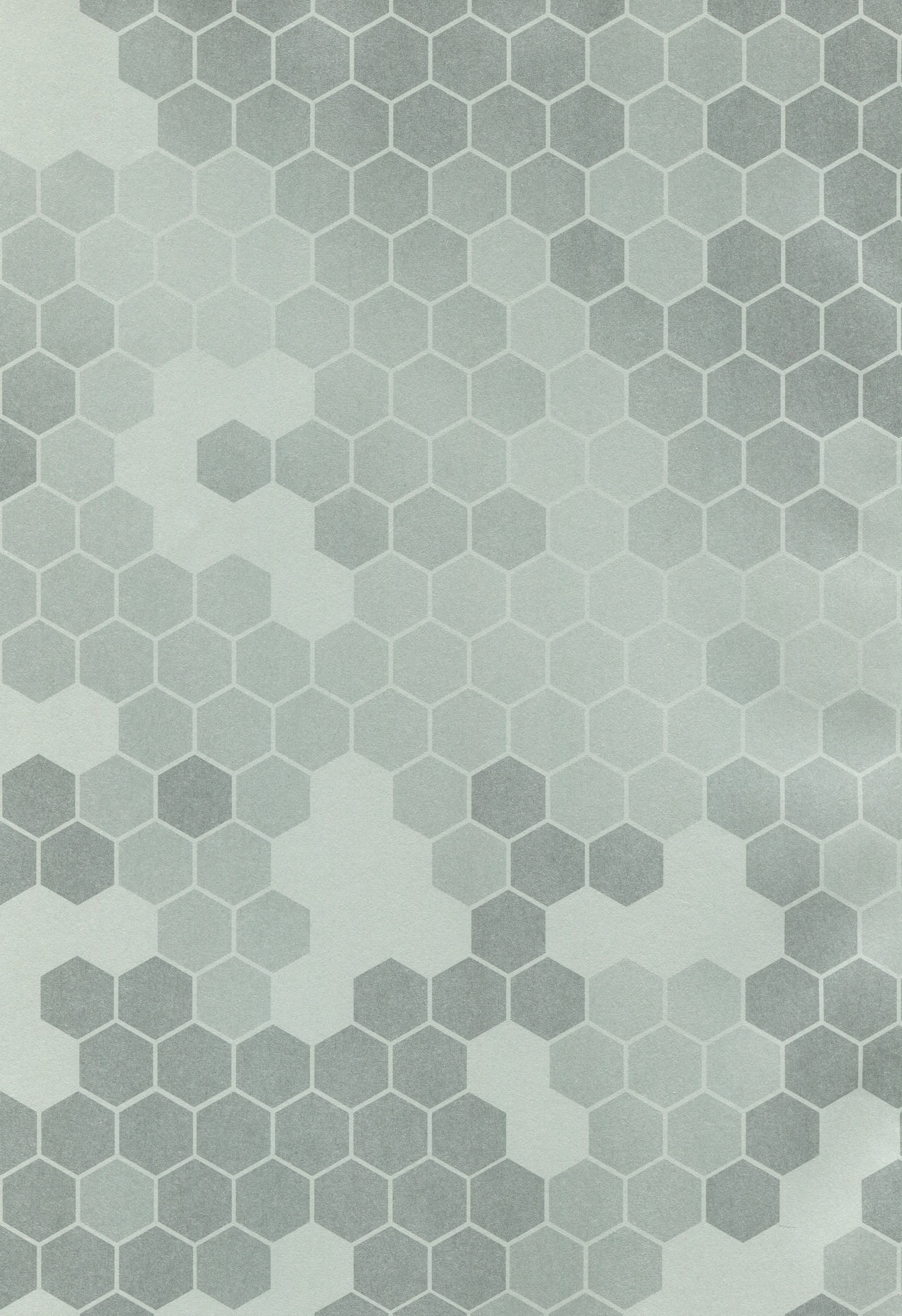 LeVeLoPer page 2 full