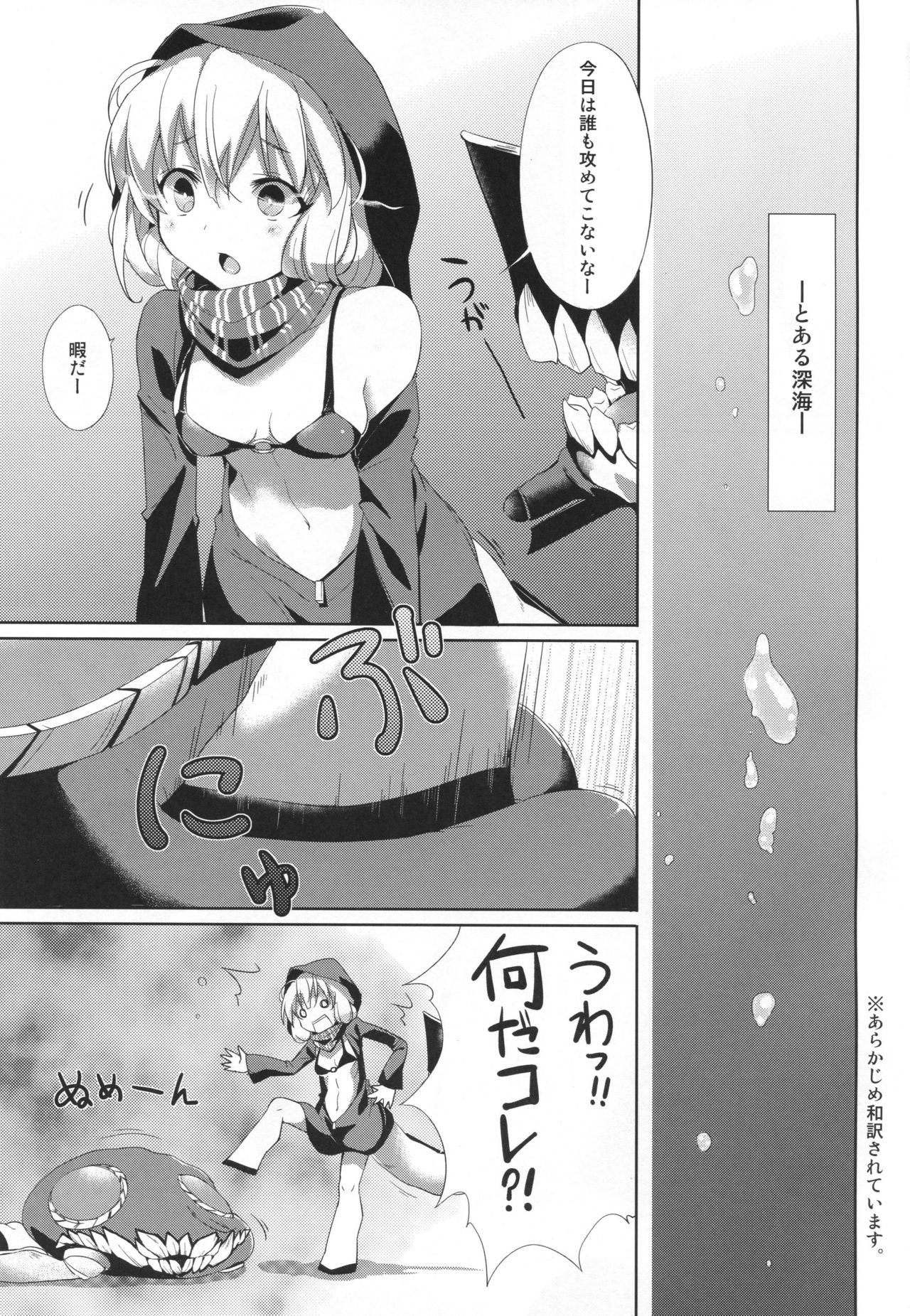 LeVeLoPer page 5 full