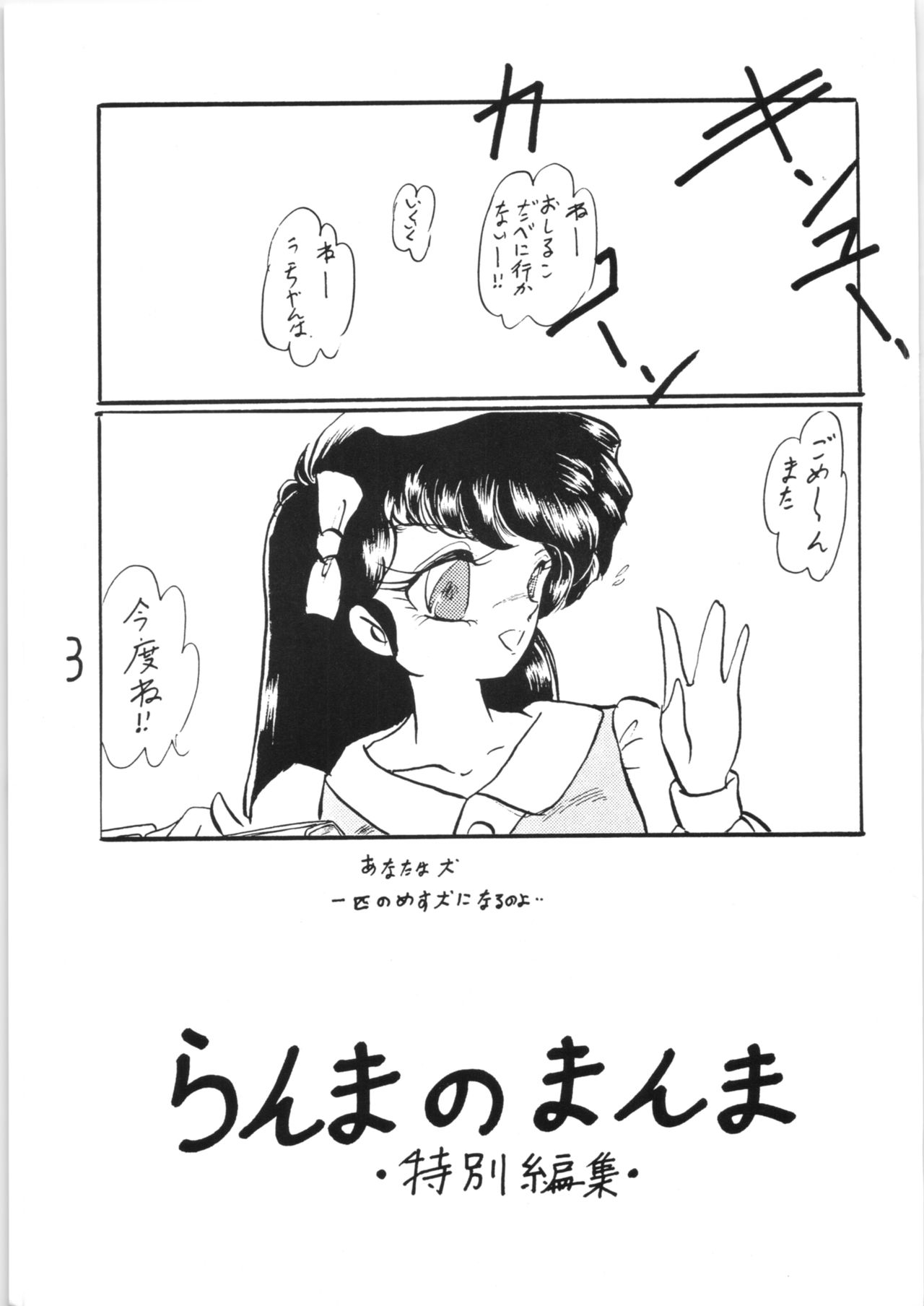 Ranma no Manma Tokubetsu Henshuu page 2 full