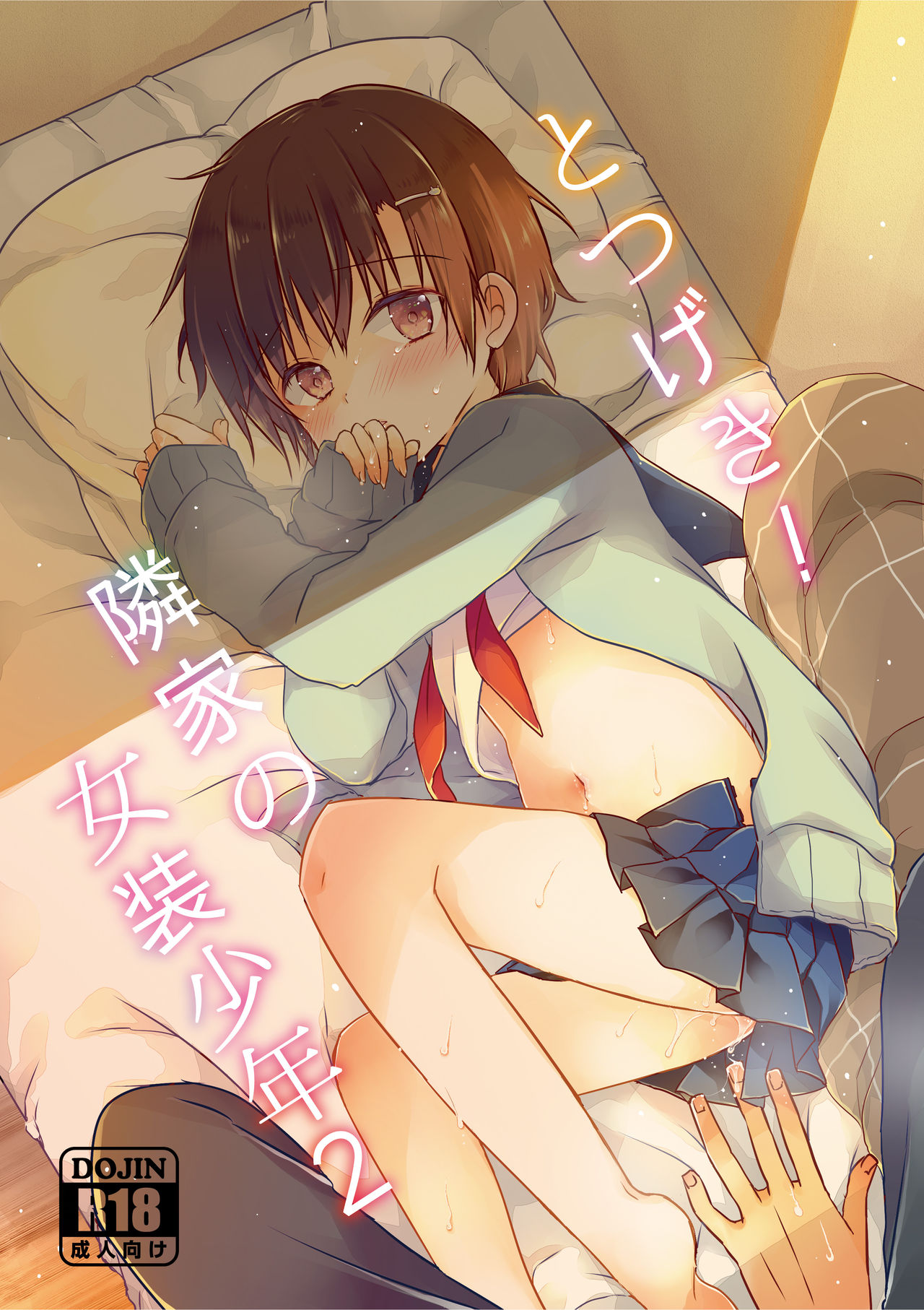 Totsugeki! Rinka no Josou Shounen 2 page 1 full