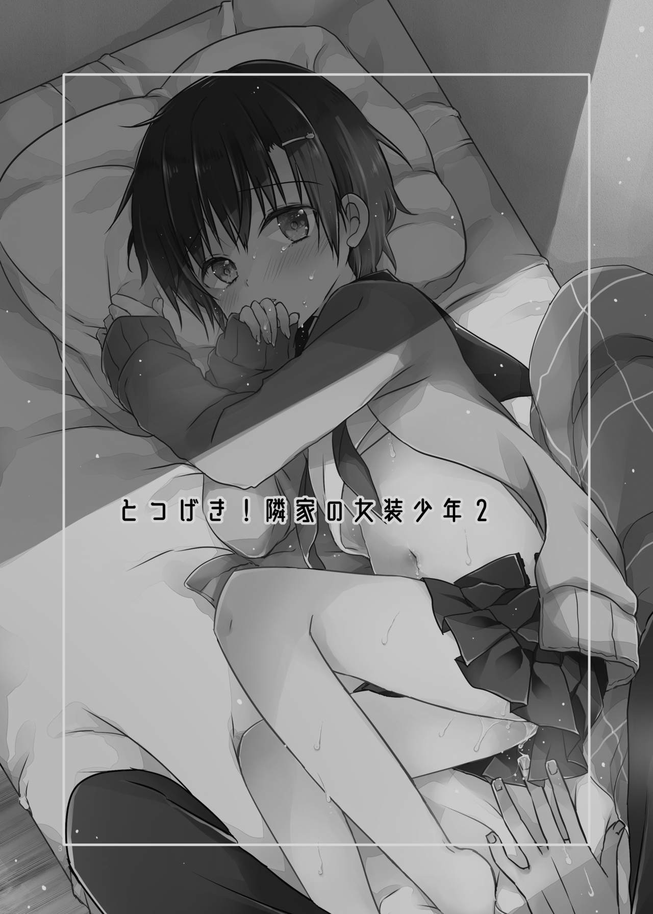 Totsugeki! Rinka no Josou Shounen 2 page 2 full