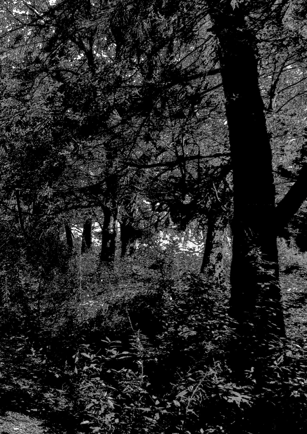 GARIGARI 98 page 3 full