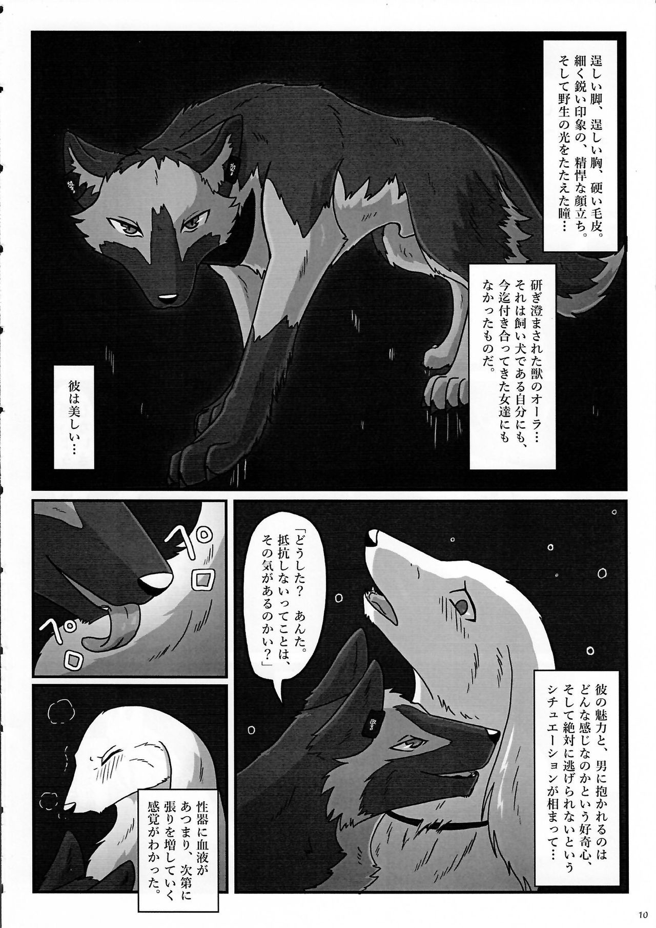 KTQ 7 page 10 full