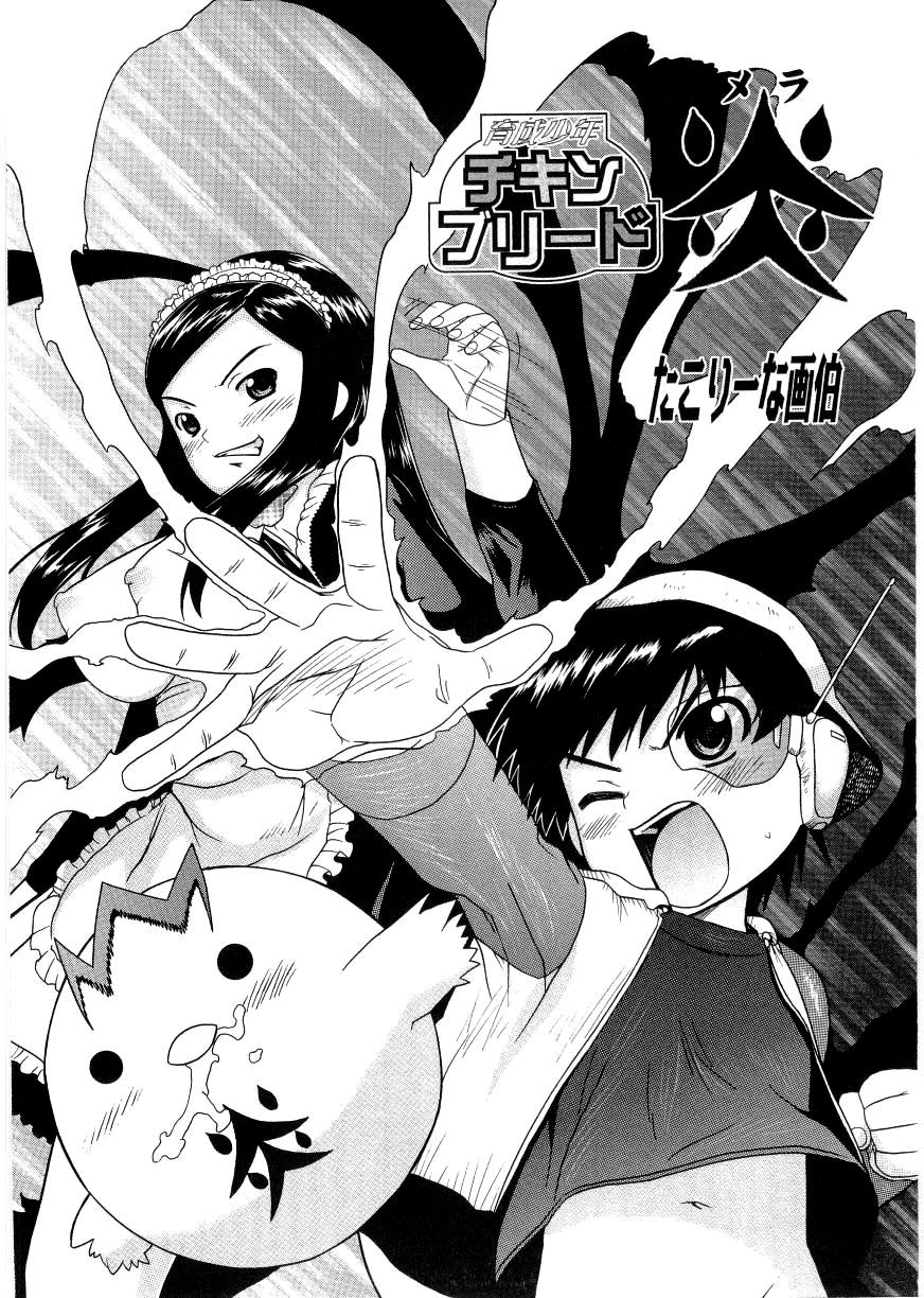 Chicken Breed Mera page 3 full