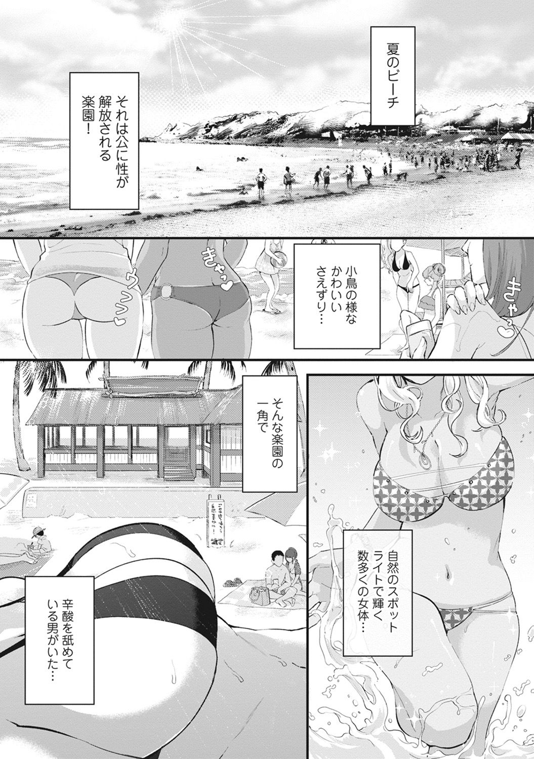Umi no Ie de Harem Beit! Gal & Shojo to Beach de Ecchi page 2 full