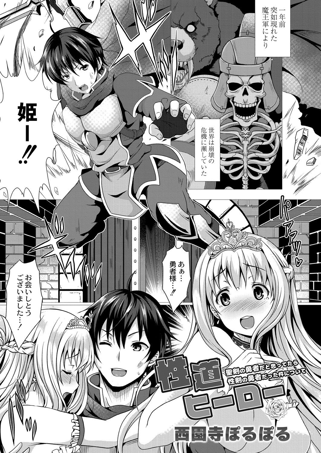Seidou Hero 1 Seiken no Yuusha da to Omottetara Seiken no Yuusha datta Ken ni Tsuite page 3 full
