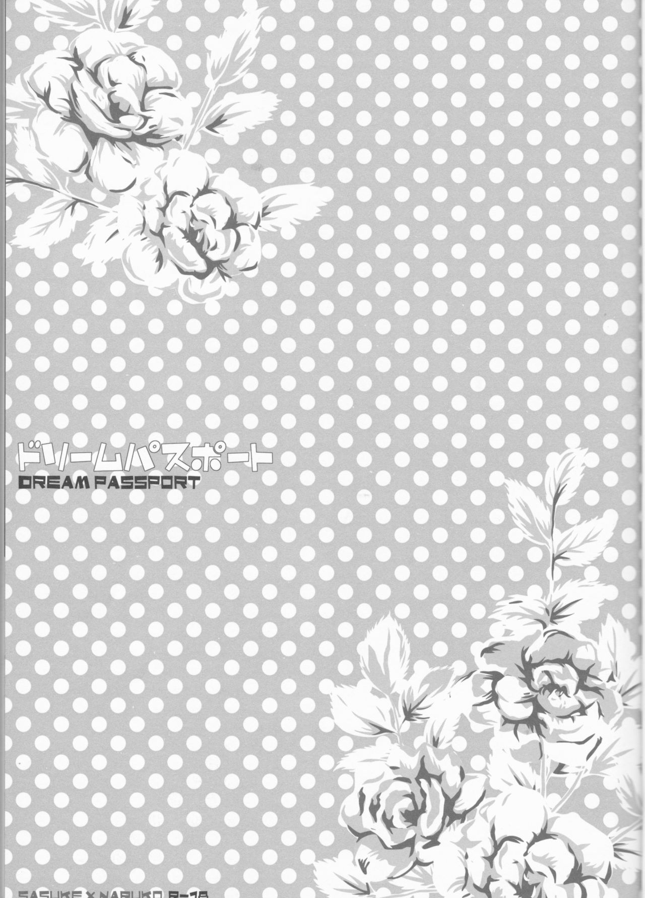 Dream Passport page 4 full