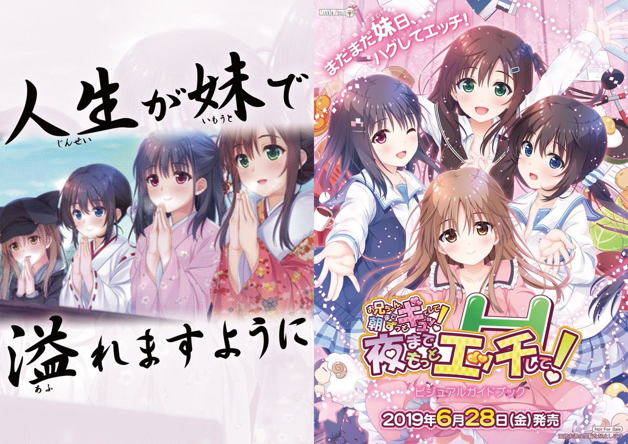 Onii-chan, Asa Made Zutto Gyu te Shite! Yoru Made Motto Ecchi Shite! Visual Guide Book page 1 full