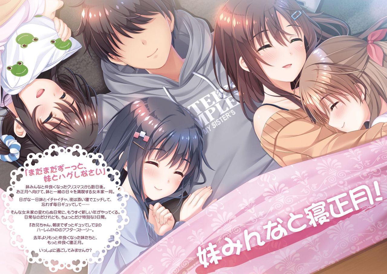 Onii-chan, Asa Made Zutto Gyu te Shite! Yoru Made Motto Ecchi Shite! Visual Guide Book page 2 full