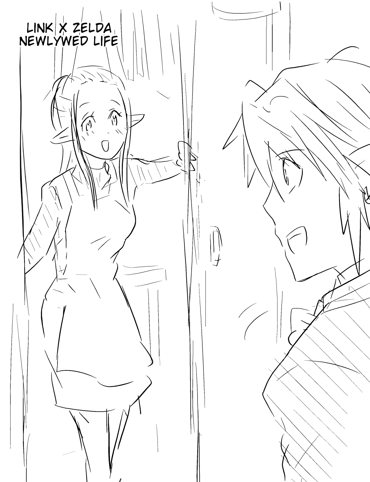 Shinkon LinZel no Yoru | Link x Zelda newlywed life page 1 full