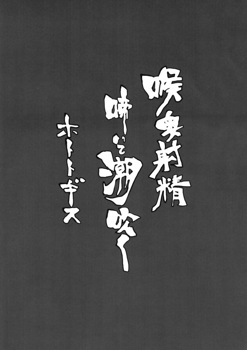 Seiki Zecchou Symphogear page 3 full