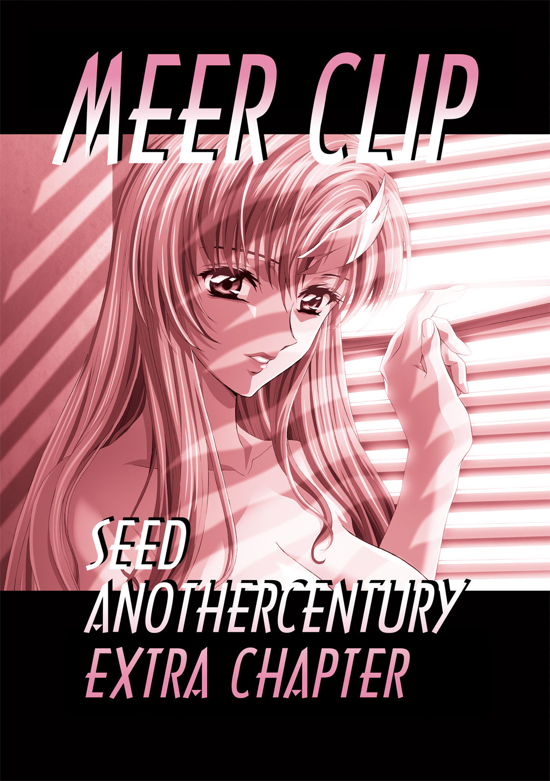 MEER CLIP page 2 full