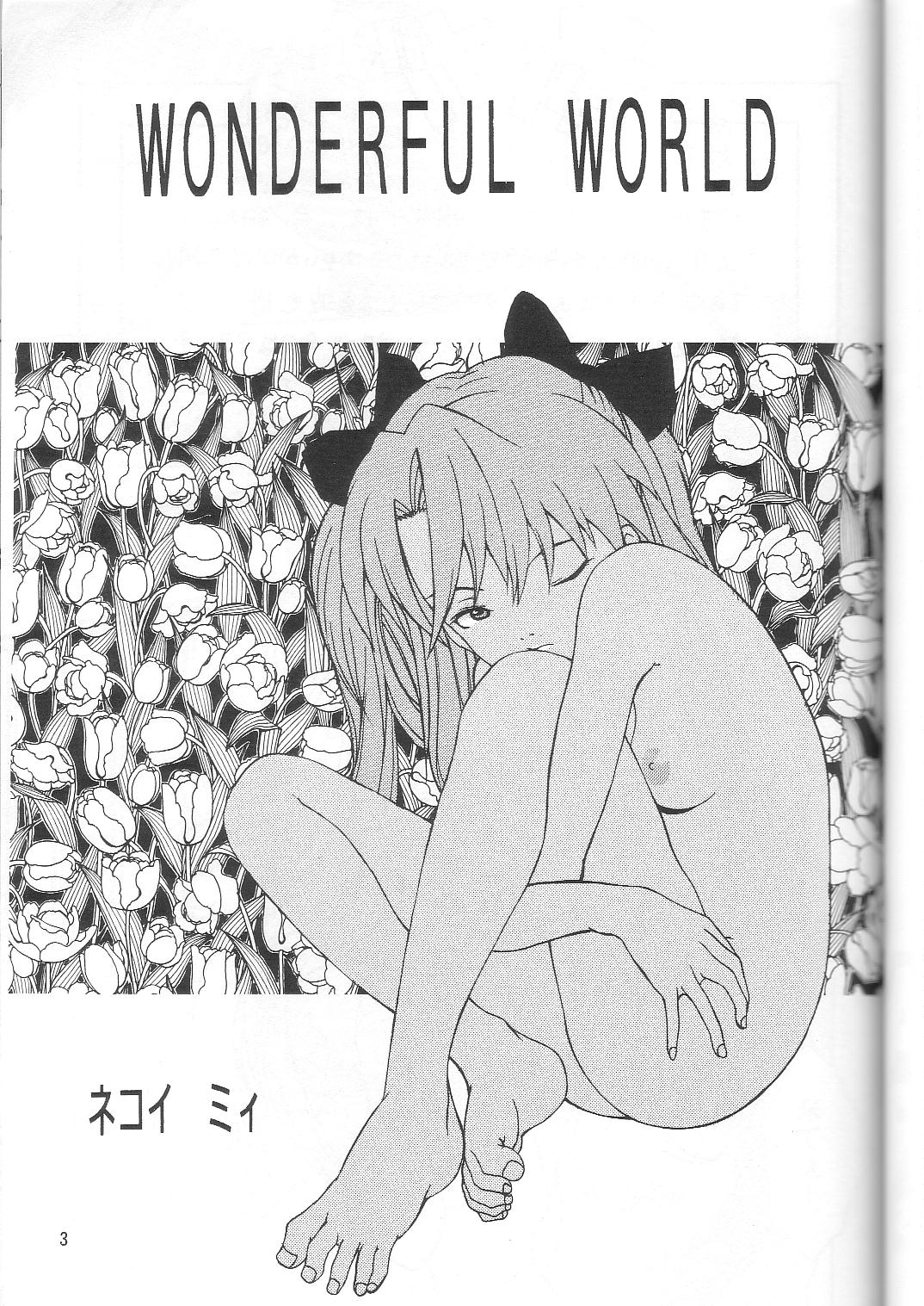 Wonderful World page 2 full