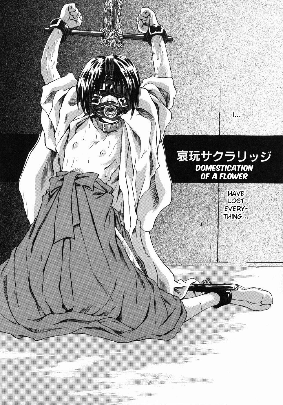 Aigan Sakurige | Domestication of a Flower page 2 full