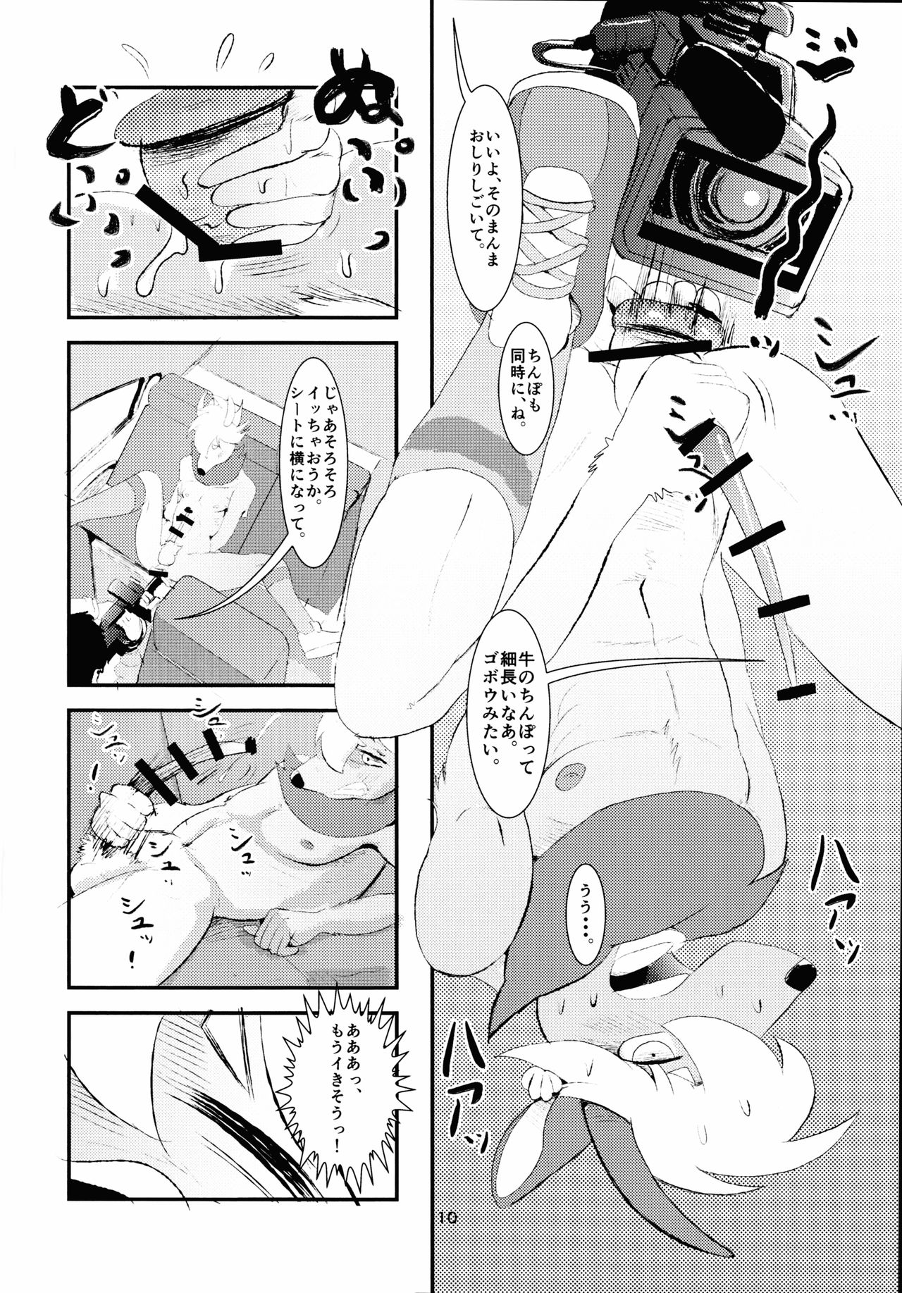 J2 Bottom ZOO page 9 full