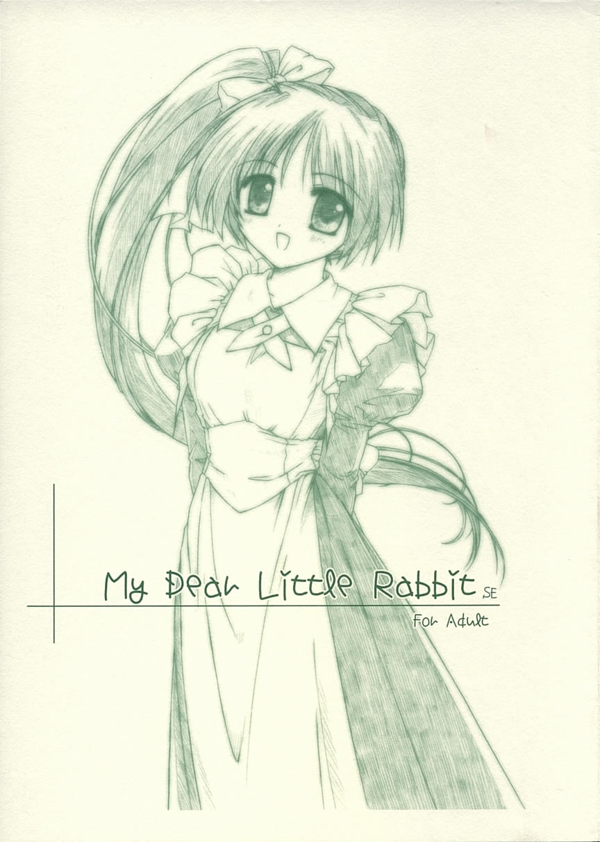My Dear Little Rabbit Second Edition page 1 full