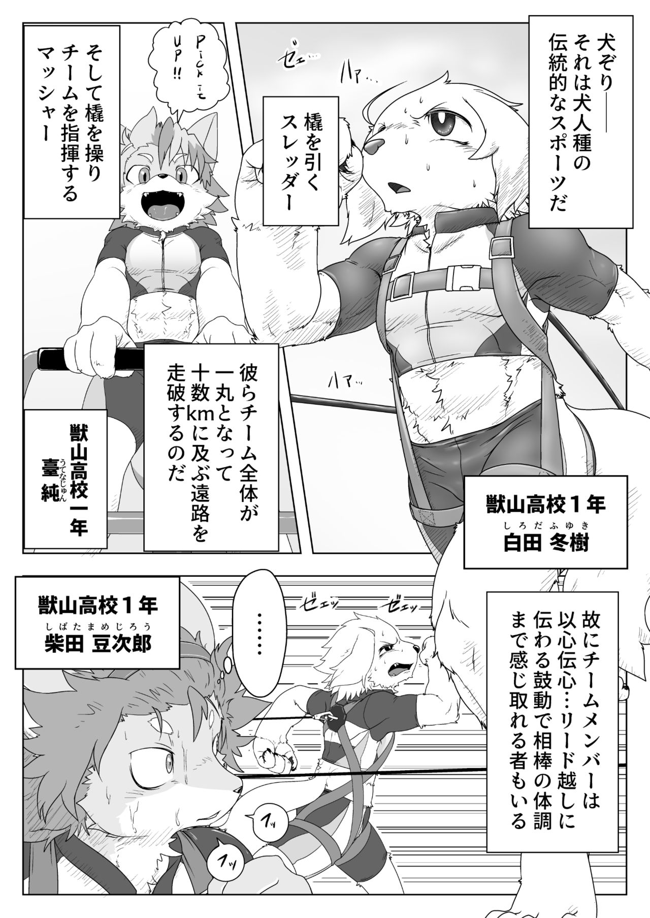 Sledders High!! page 3 full