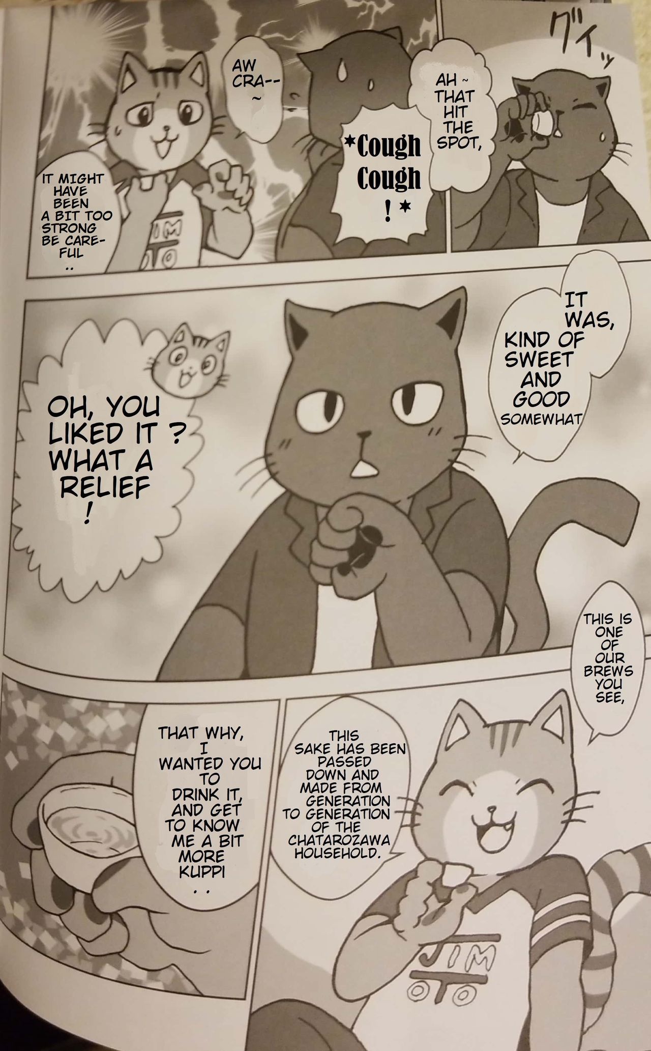 Motto Kagayake! Onii-san | More Shining Buddies! page 5 full