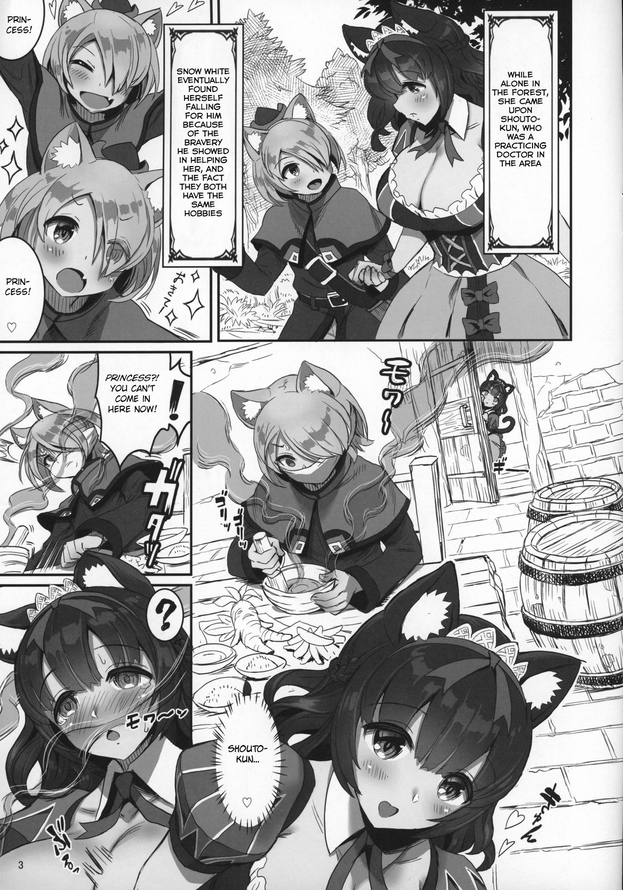 Kemomimi Douwashuu Shirayukihime-chan page 3 full