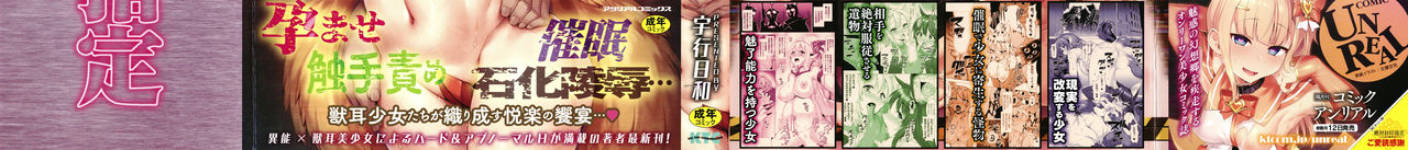 Zettai Fuuin Shitei ~Tomoare Kemonomimi Okasubeshi~ page 3 full