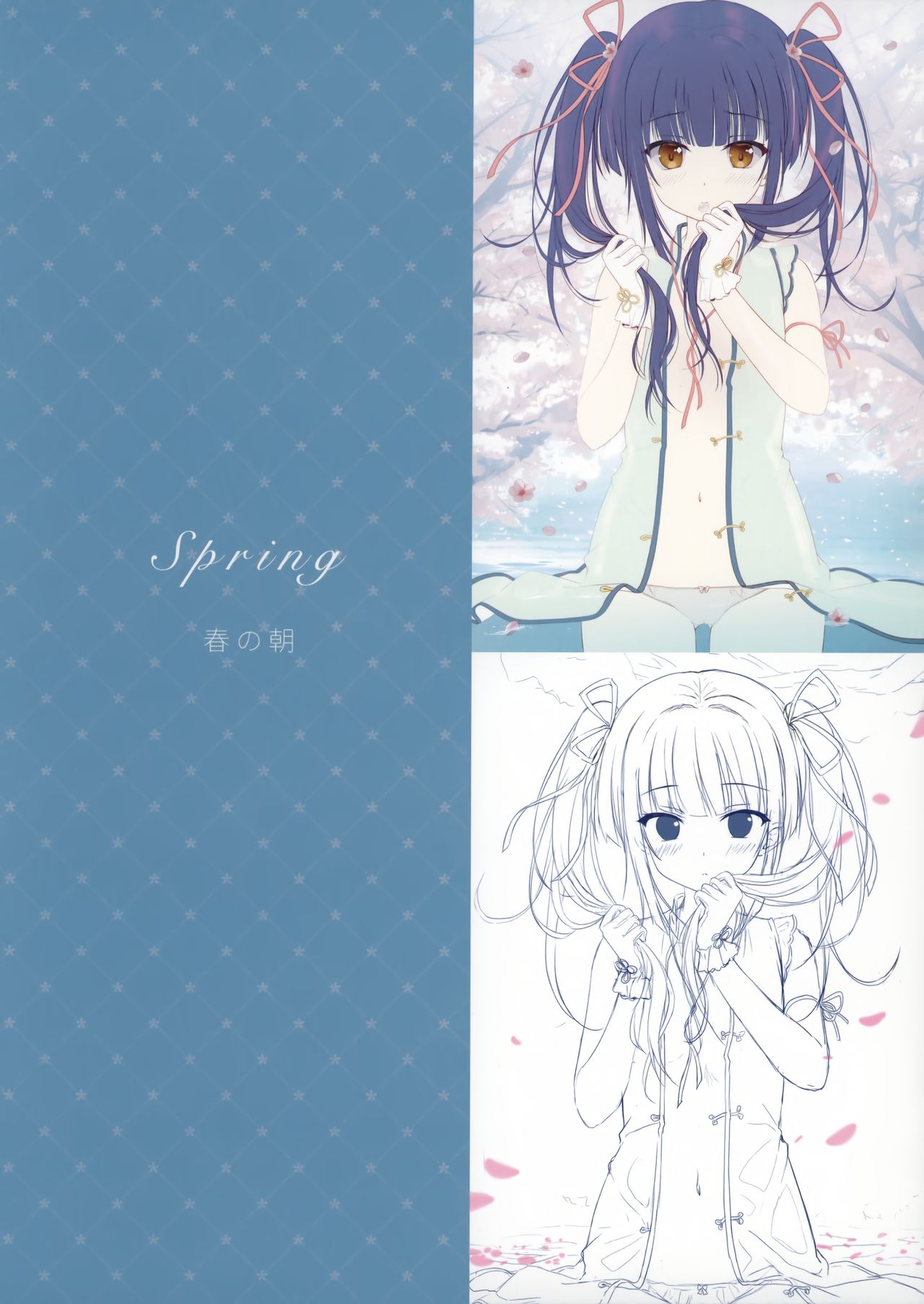 Gypsophila page 8 full