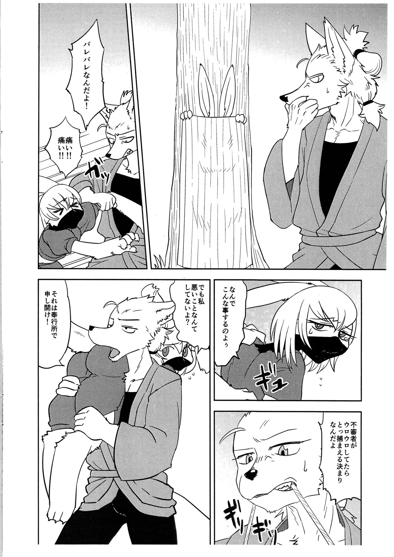 Shinobi wa Moto no Shiro Usagi page 3 full