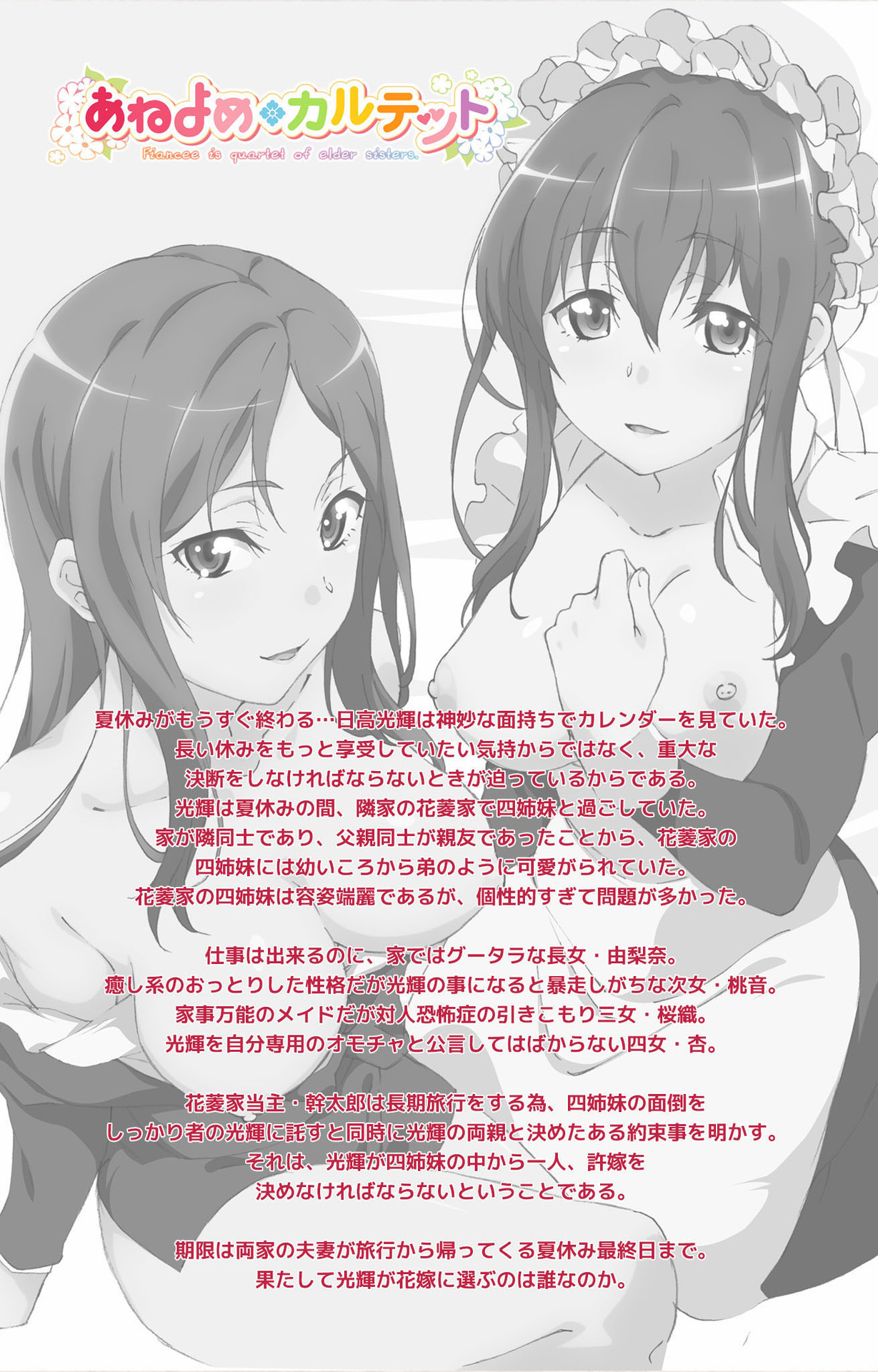 Ane Yome Quartet Kanzenban page 2 full