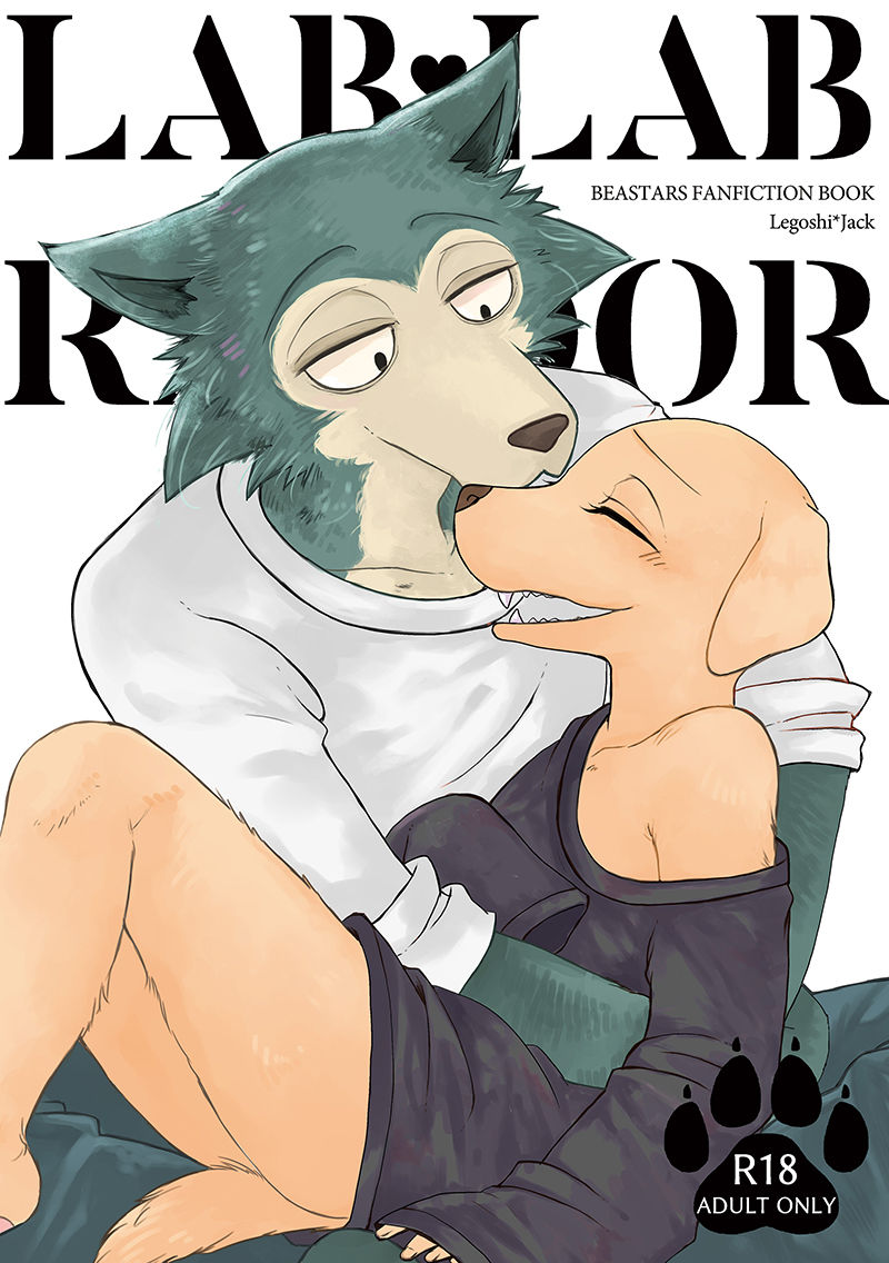 LAB♡LABRADOR  + extras page 2 full