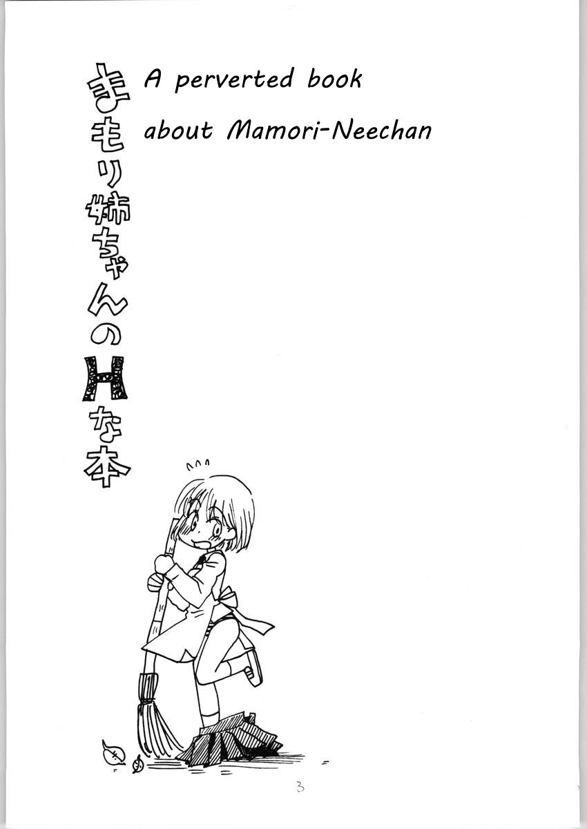 Mamori Nee-chan no H na Hon | A perverted book about Mamori-neechan page 2 full