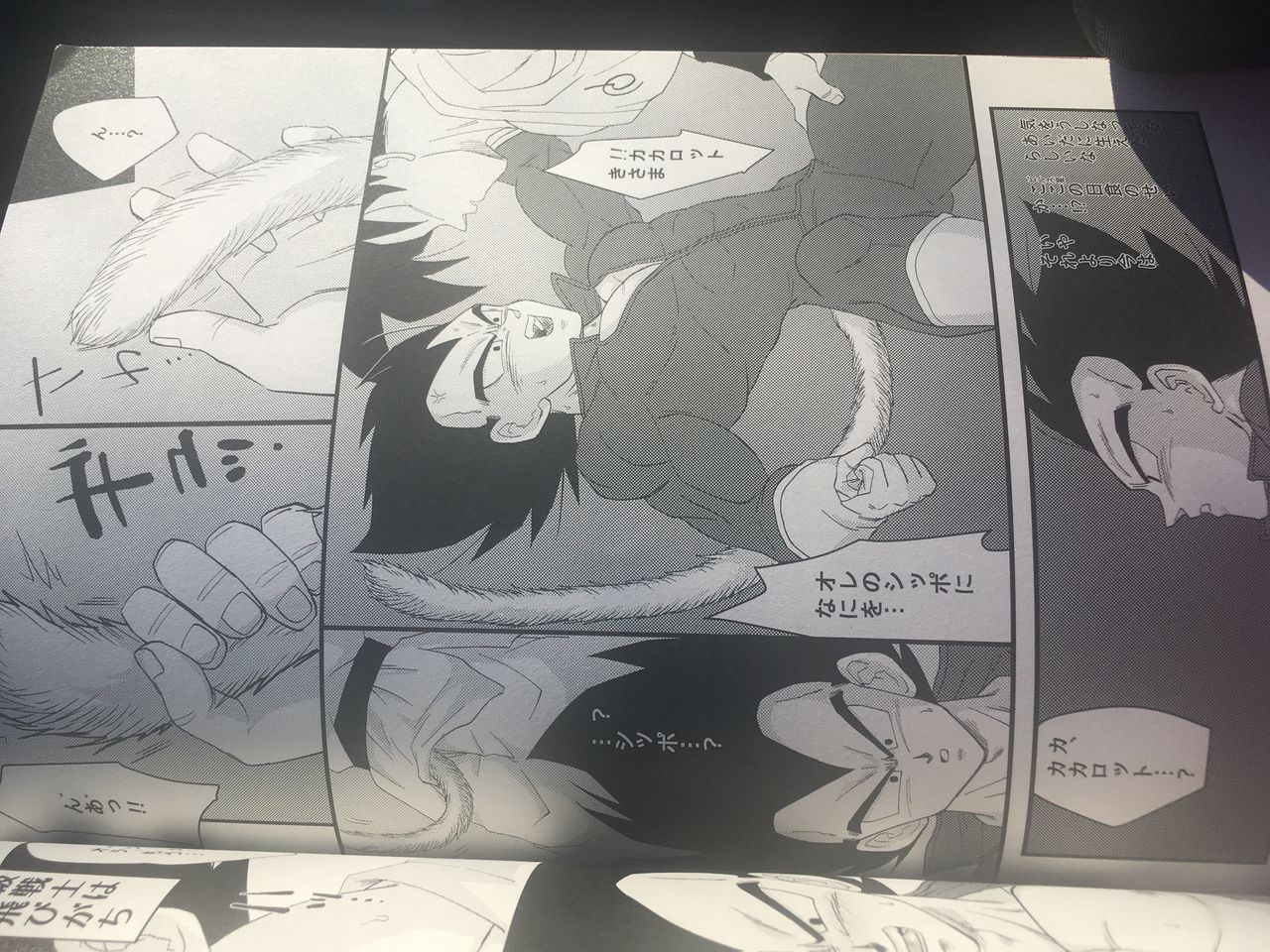 Dbz yaoi page 2 full