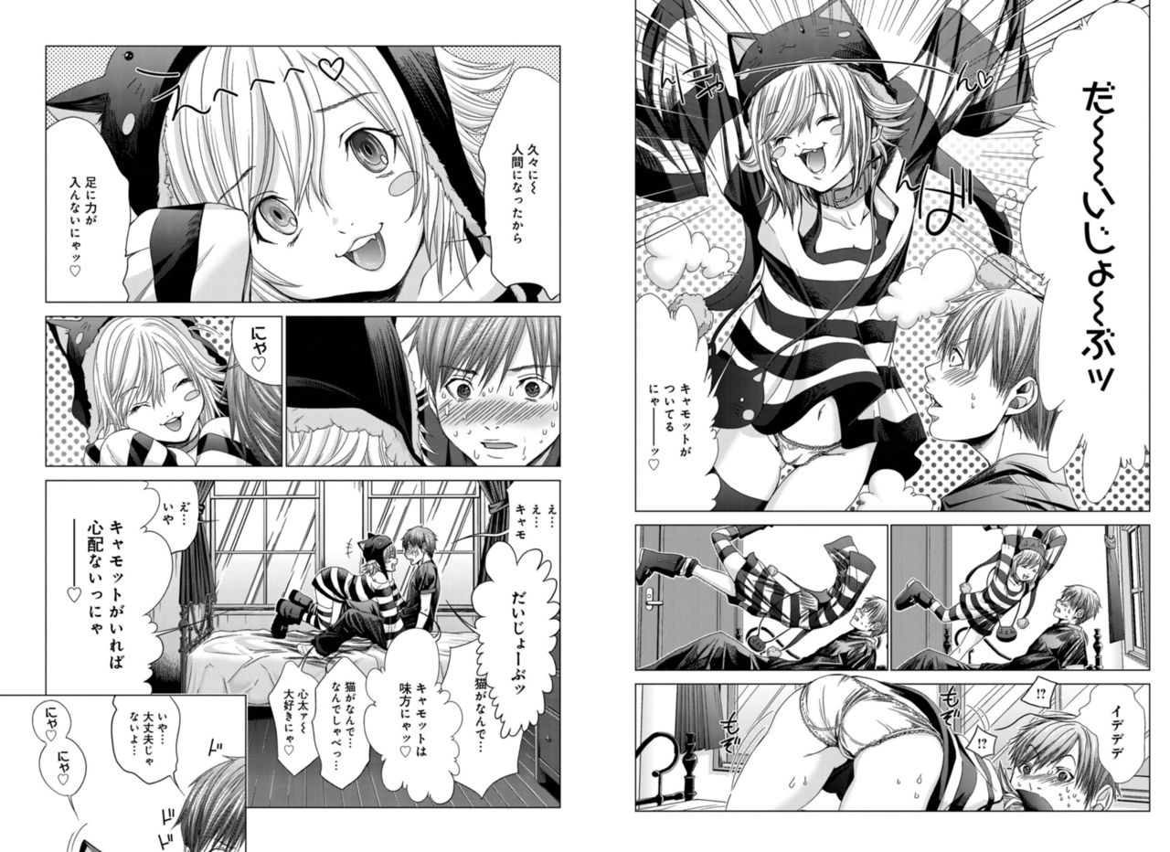Holy Knight ~Junketsu to Ai no Hazama de~ Vol. 4 page 10 full
