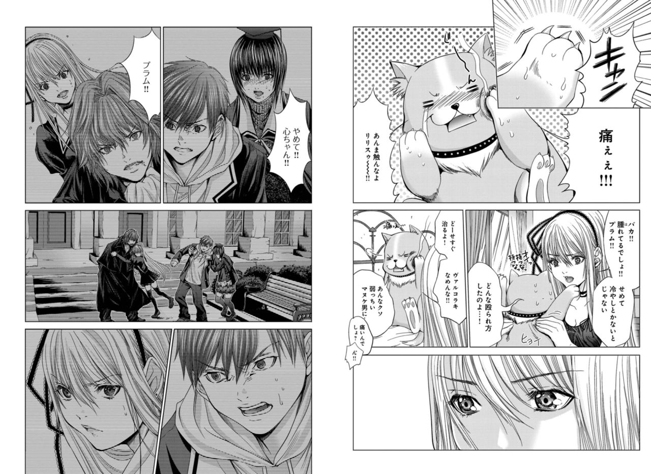 Holy Knight ~Junketsu to Ai no Hazama de~ Vol. 4 page 6 full