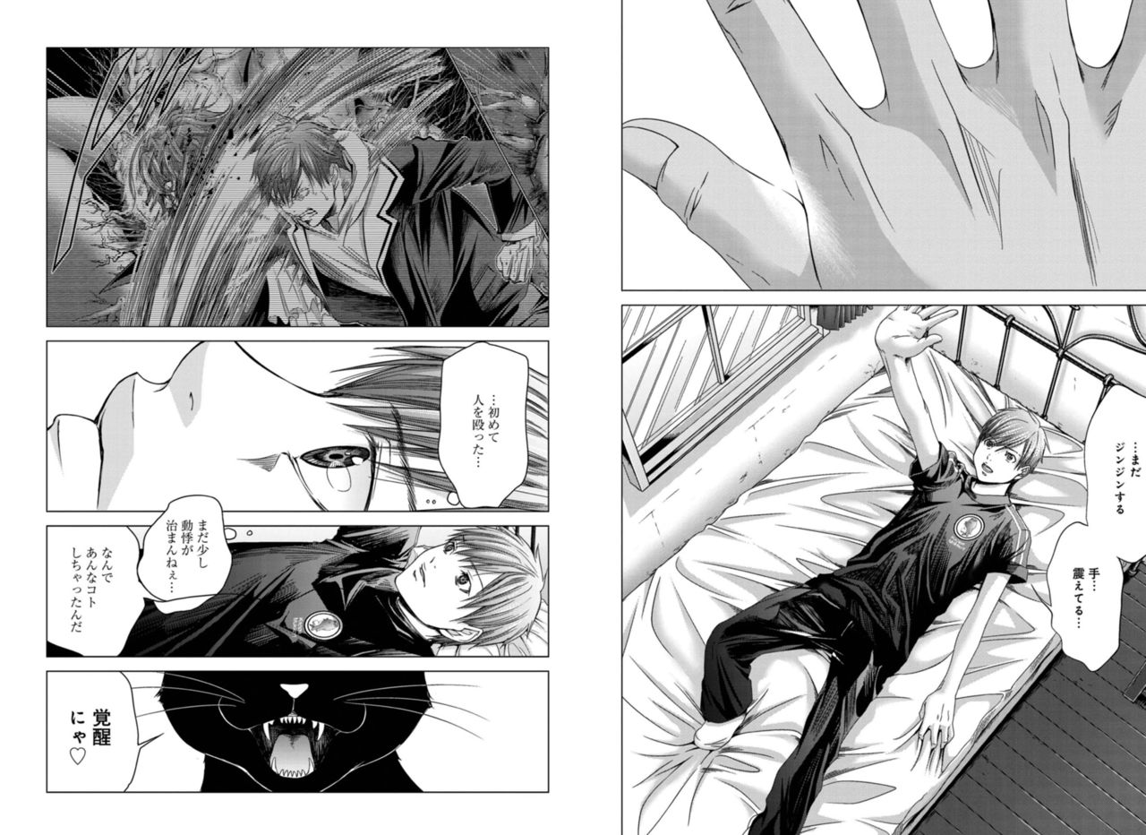 Holy Knight ~Junketsu to Ai no Hazama de~ Vol. 4 page 8 full