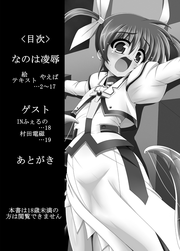 Nanoha Ryoujoku page 2 full