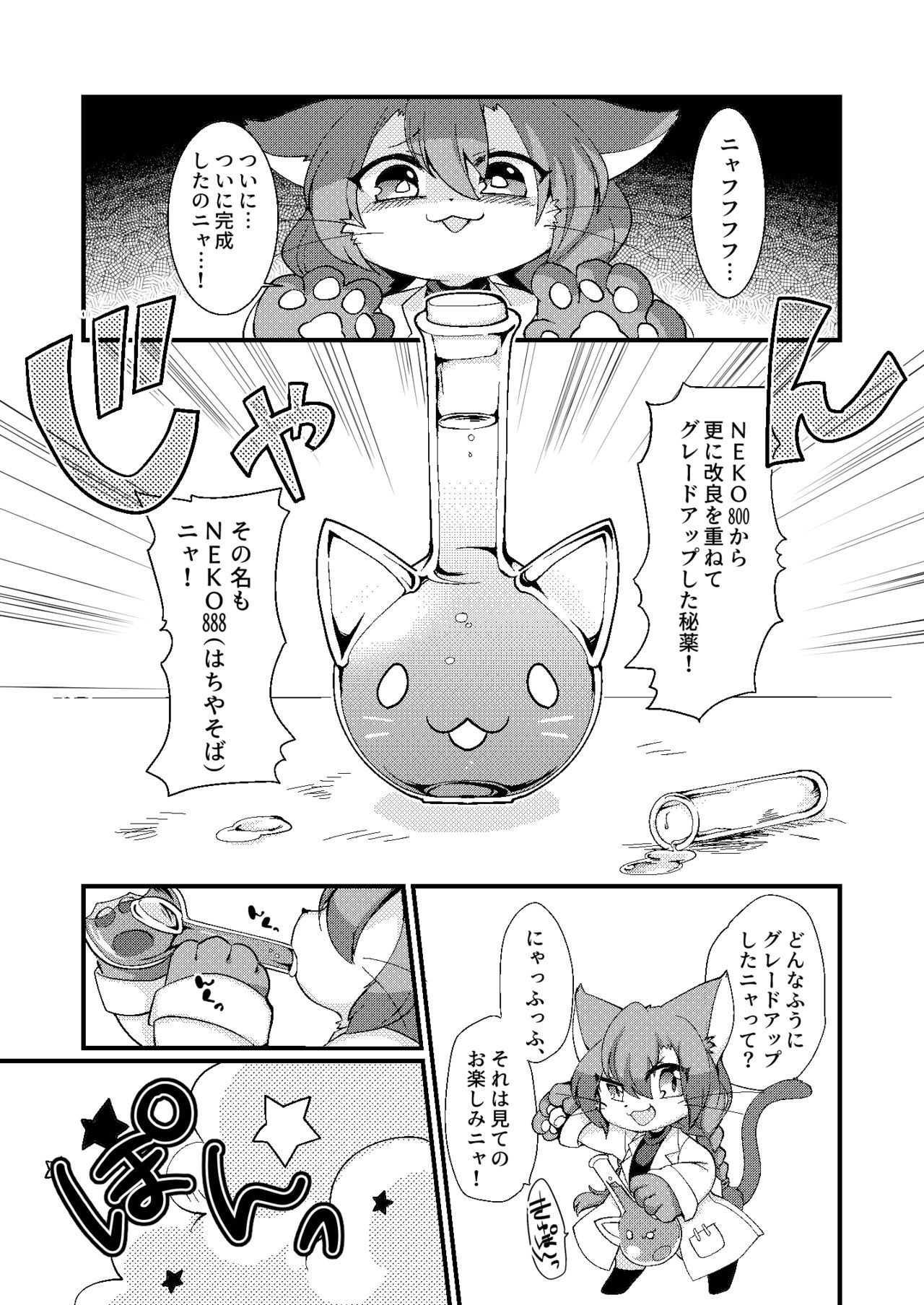 Koko Kara wa Otona no Jikan Nya! page 3 full