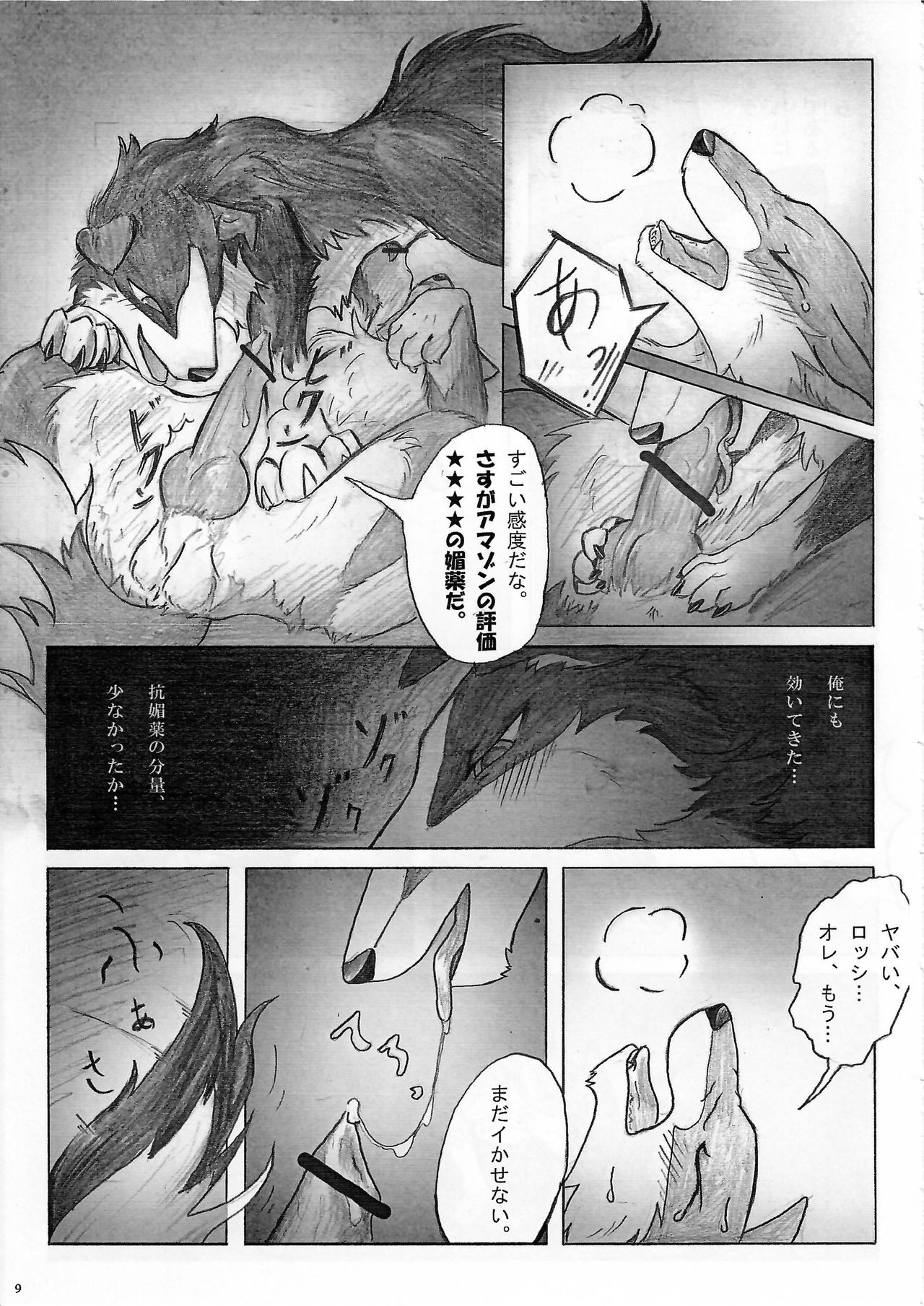 KTQ 15/2 page 10 full