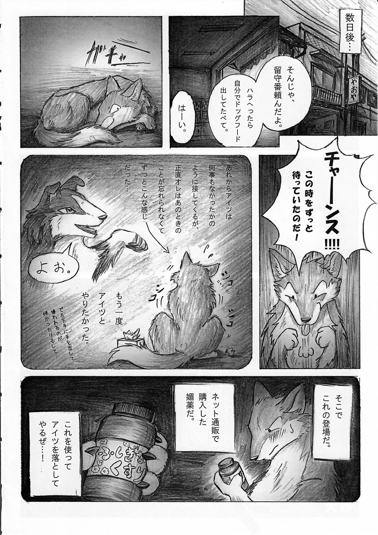 KTQ 15/2 page 5 full