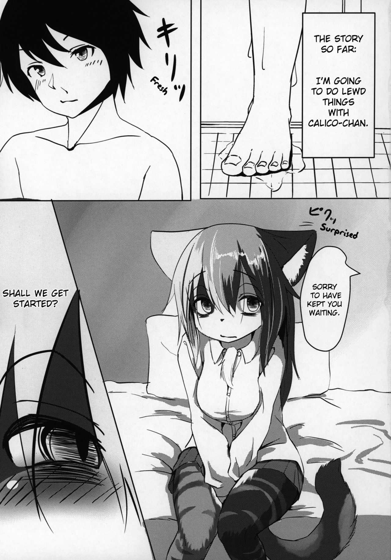 Asobi Neko | Frisky Cat page 2 full