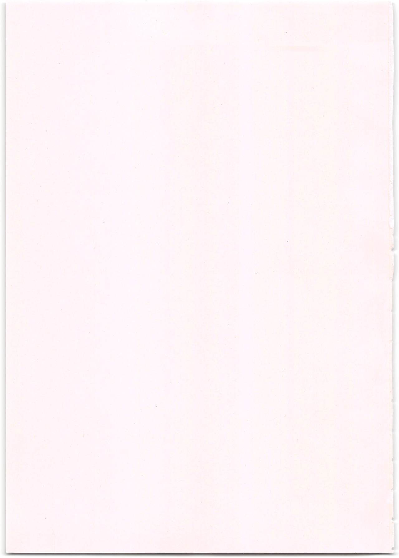 Yancha Musume no Shitsukekata page 3 full