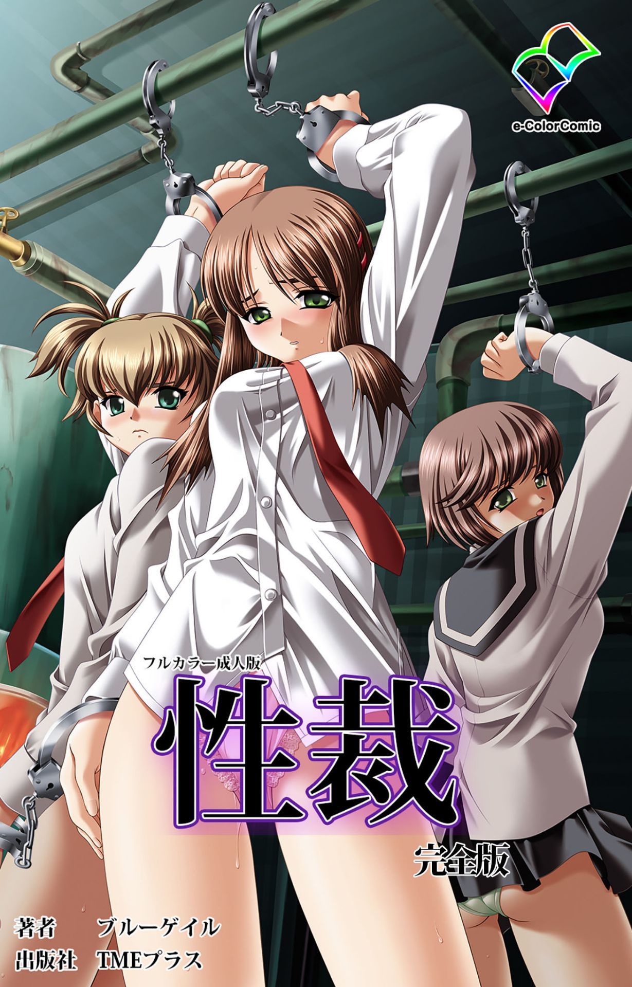 sei sai kanzenhan page 1 full