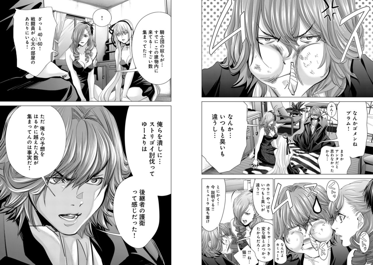 Holy Knight ~Junketsu to Ai no Hazama de~ Vol. 8 page 9 full
