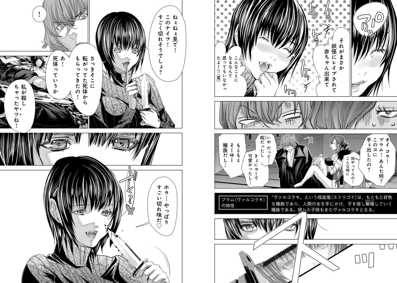 Holy Knight ~Junketsu to Ai no Hazama de~ Vol. 11 page 10 full