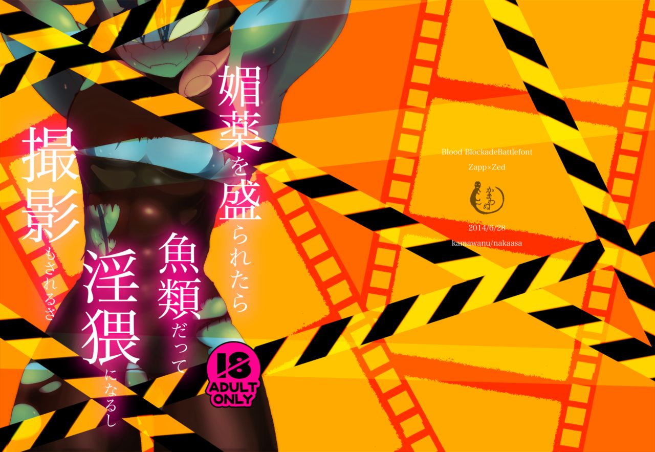 ３冊めのザプツェ本 page 1 full